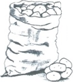 potatoes
