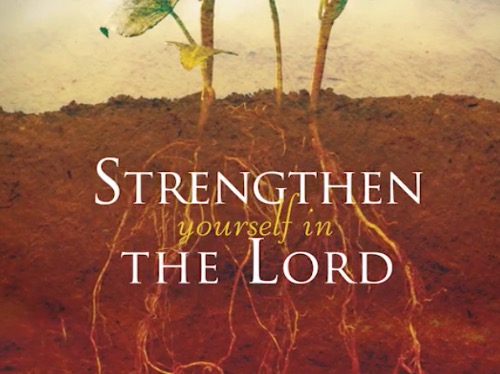 Strengthen yourself in the Lord By Bill Johnson
